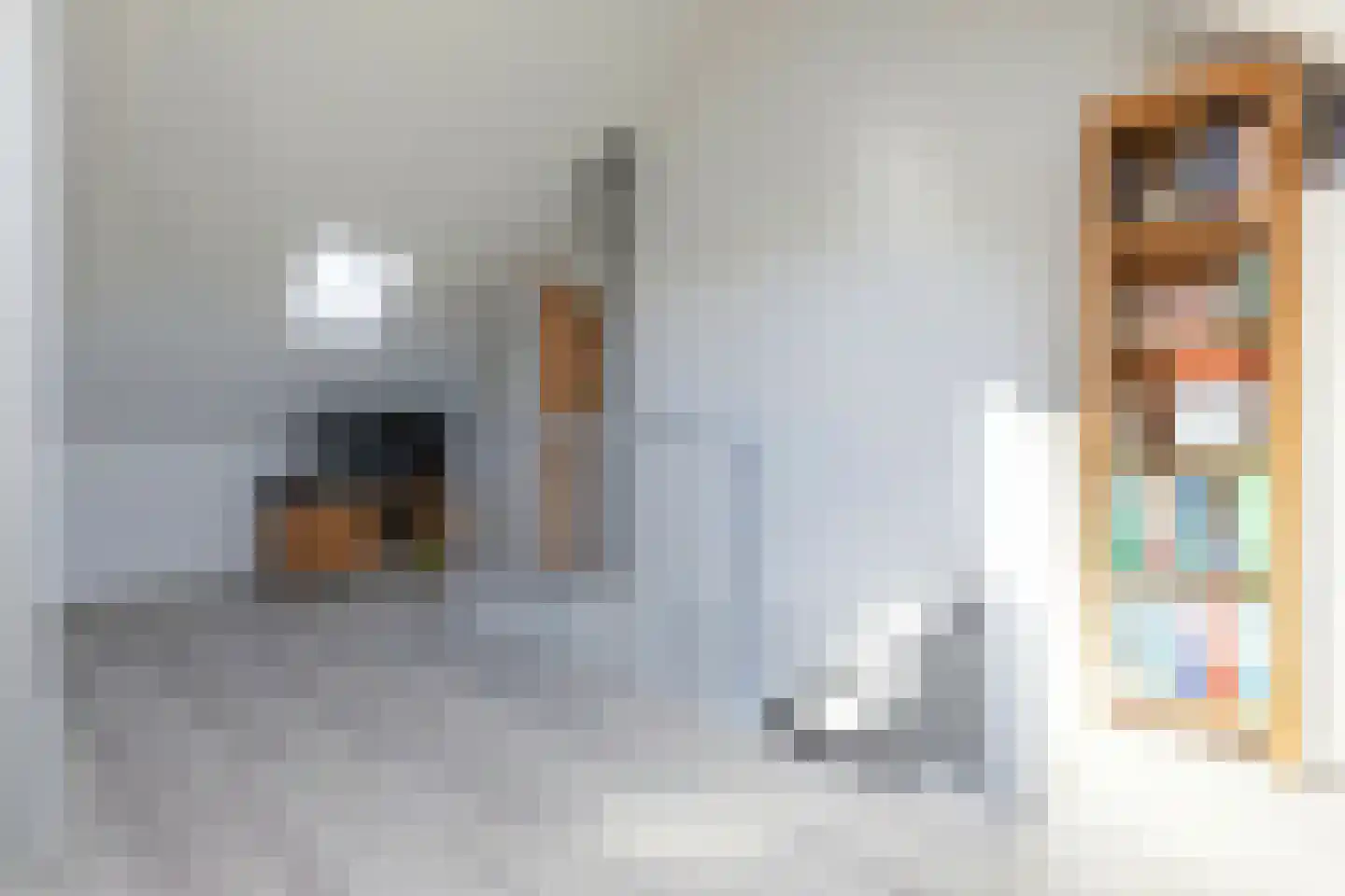 Karel Appelstraat 10 Dronten thumbnail 23