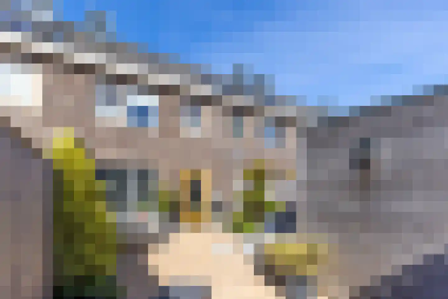 Karel Appelstraat 10 Dronten thumbnail 26