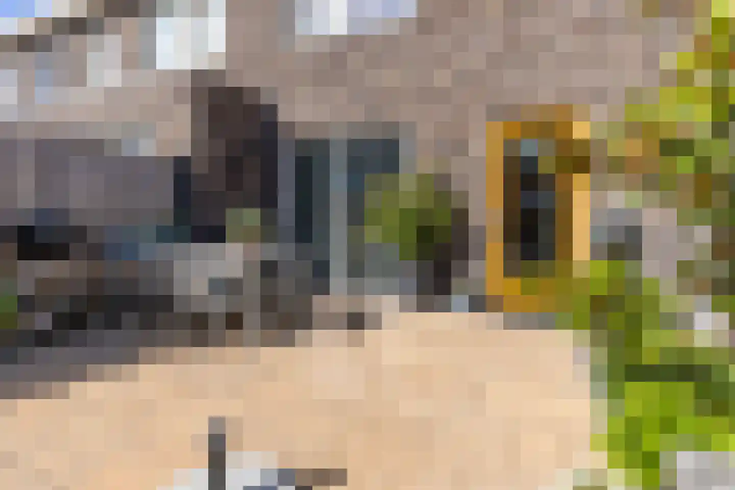 Karel Appelstraat 10 Dronten thumbnail 28