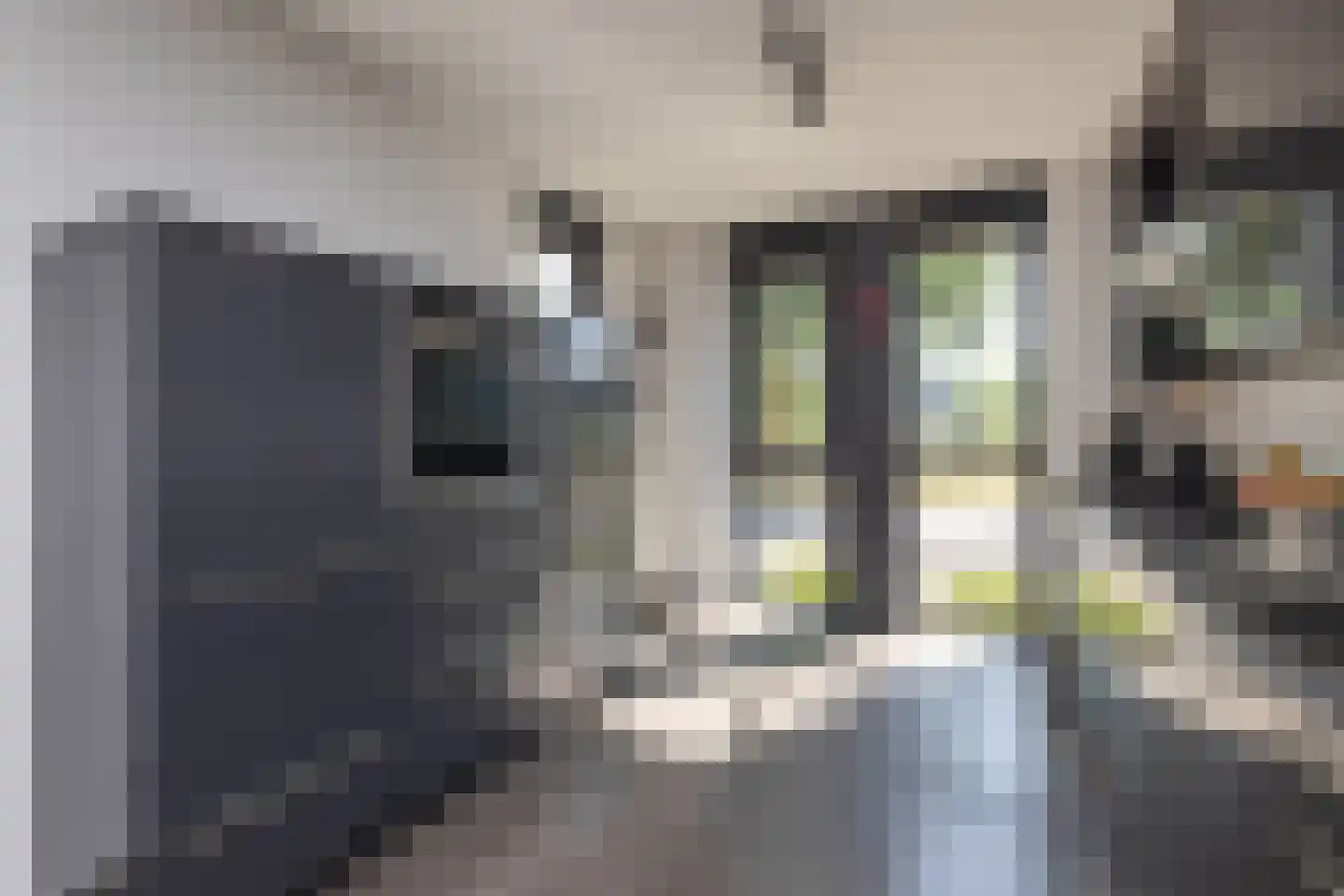 Karel Appelstraat 12 Hengelo thumbnail 11