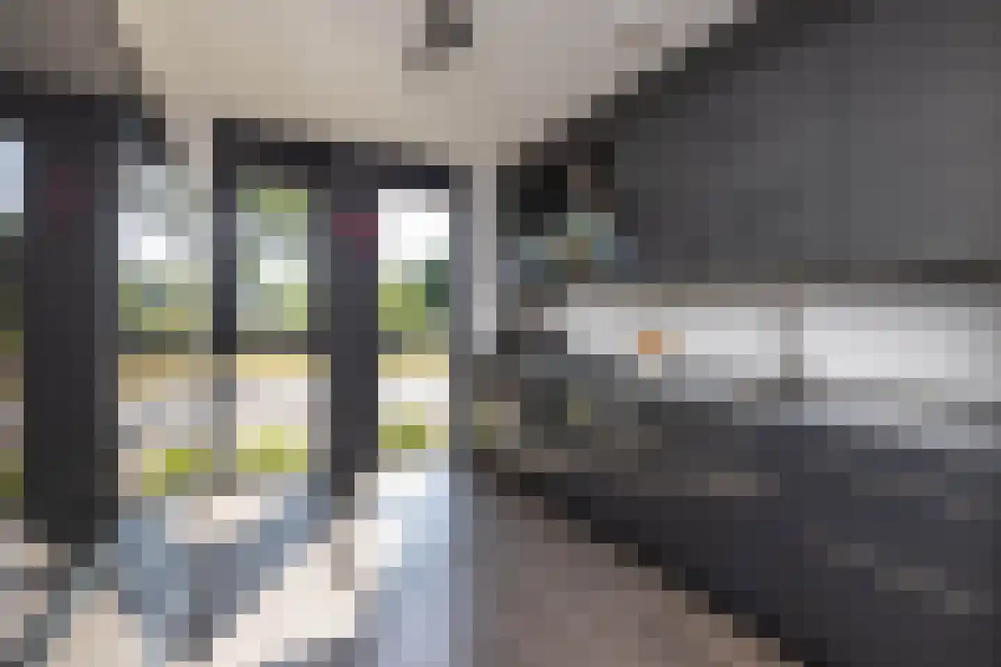 Karel Appelstraat 12 Hengelo thumbnail 12