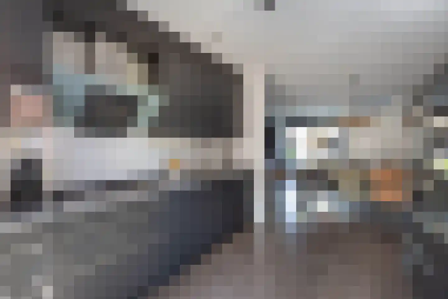 Karel Appelstraat 12 Hengelo thumbnail 13