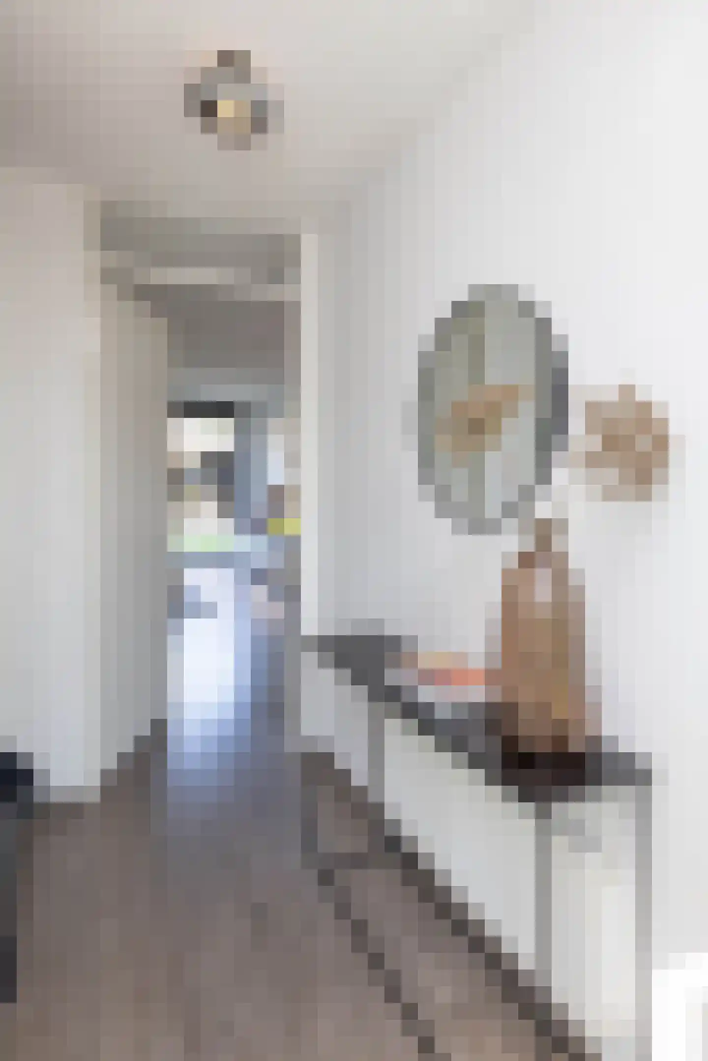 Karel Appelstraat 12 Hengelo thumbnail 16