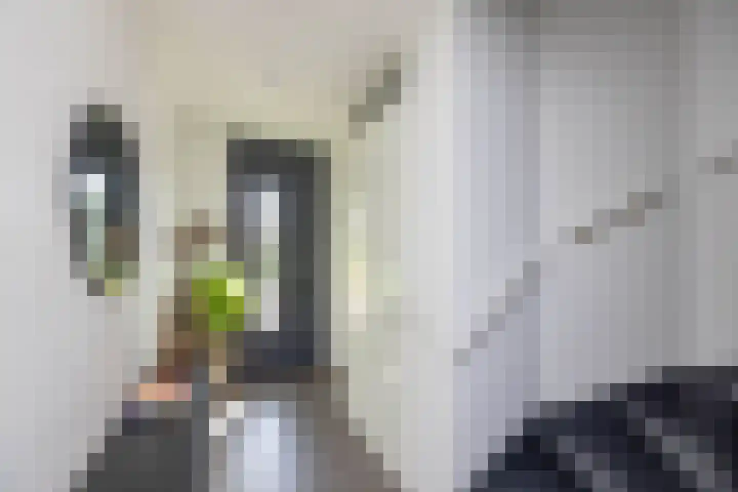 Karel Appelstraat 12 Hengelo thumbnail 18