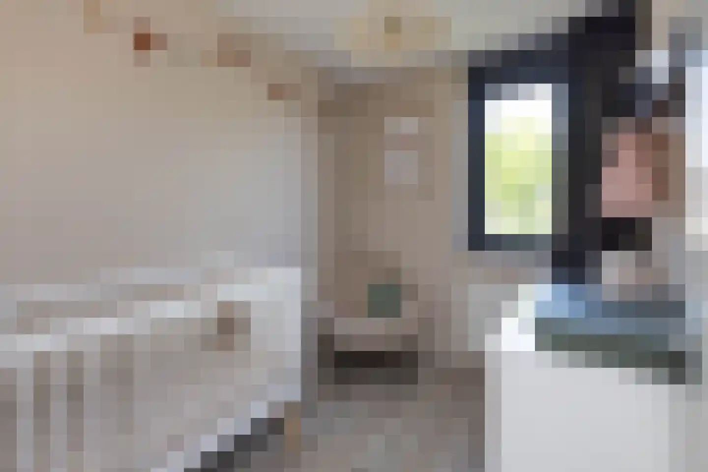 Karel Appelstraat 12 Hengelo thumbnail 23