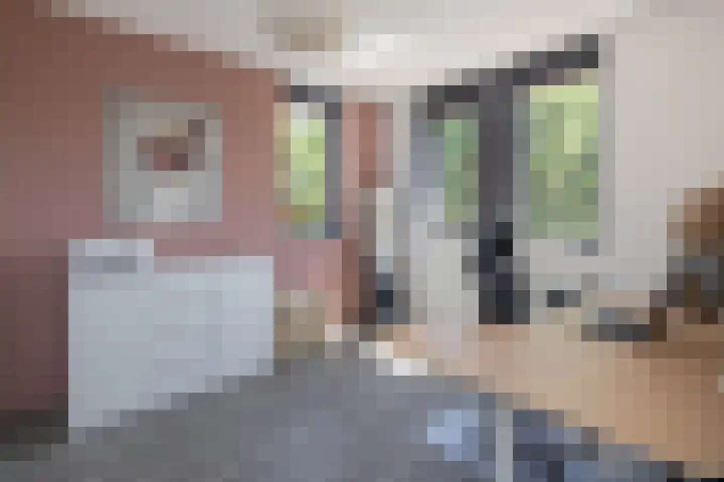 Karel Appelstraat 12 Hengelo thumbnail 24