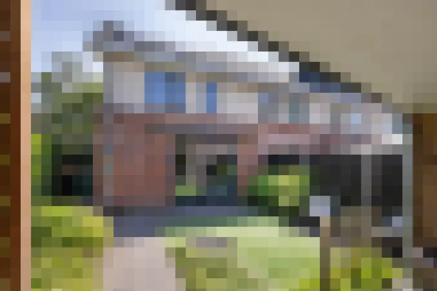 Karel Appelstraat 12 Hengelo thumbnail 32