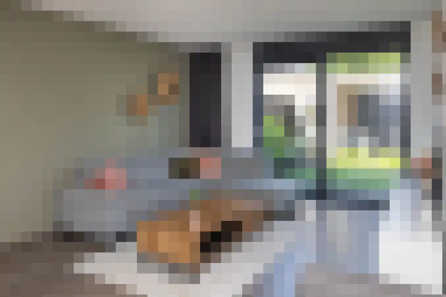 Karel Appelstraat 12 Hengelo thumbnail 6