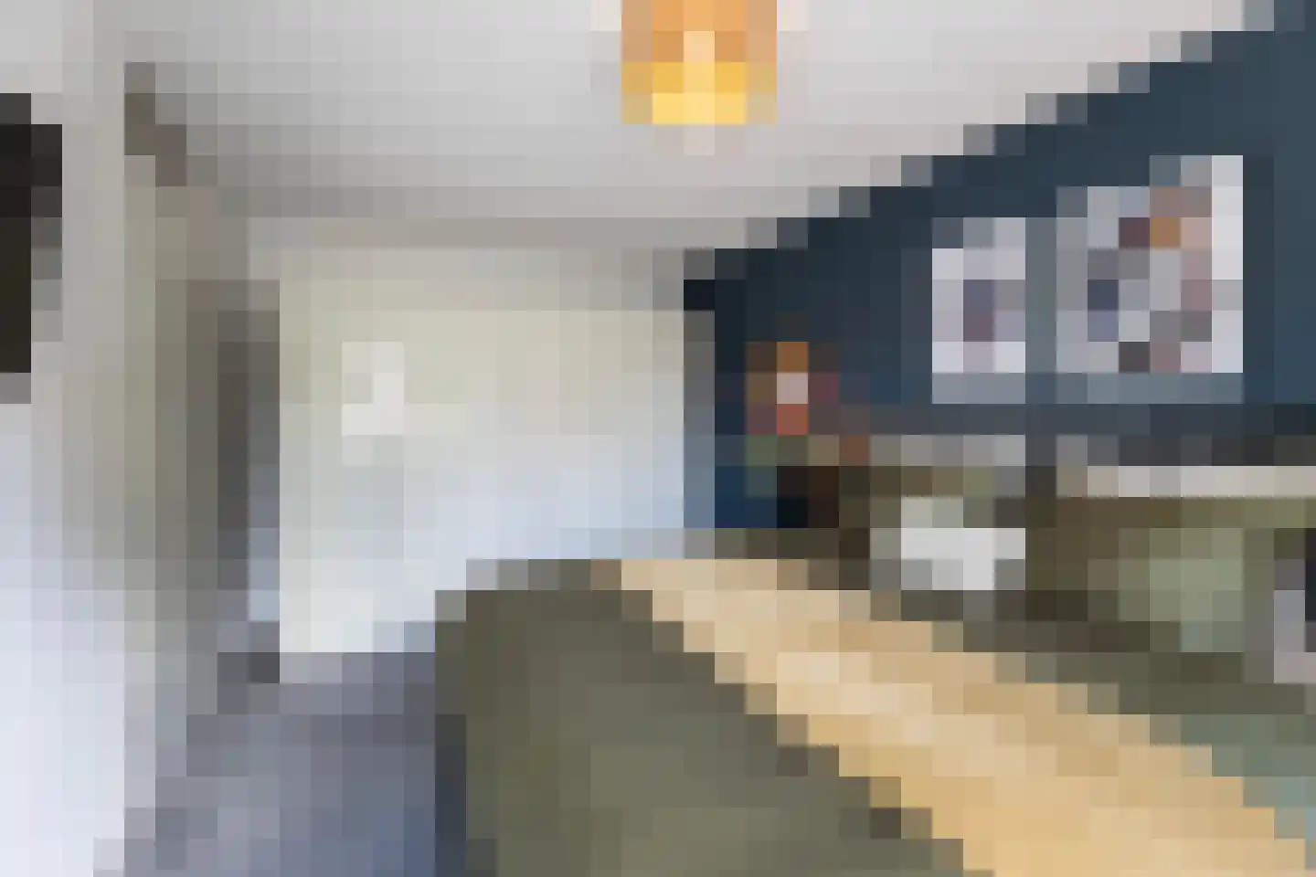 Karel Appelstraat 2 Hengelo thumbnail 17