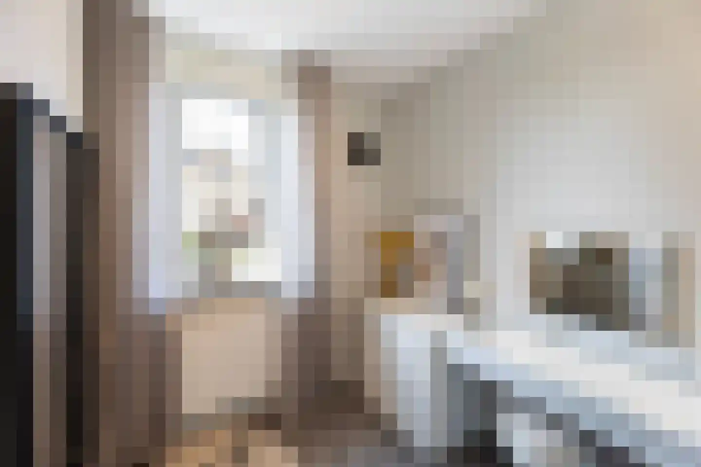 Karel Appelstraat 2 Hengelo thumbnail 21