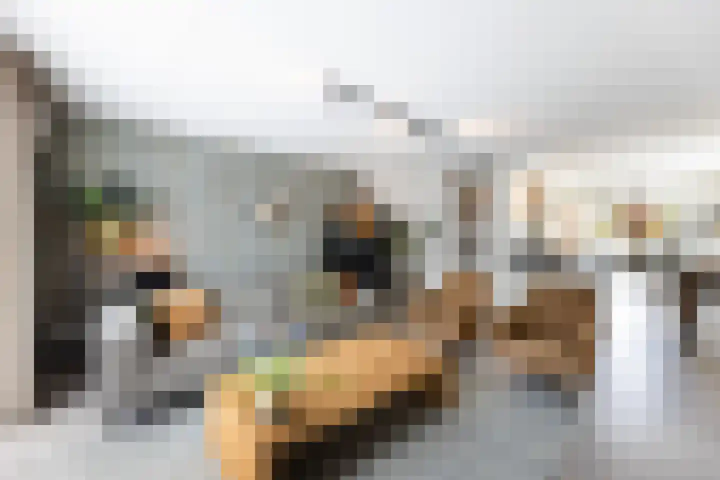 Karel Appelstraat 2 Hengelo thumbnail 8