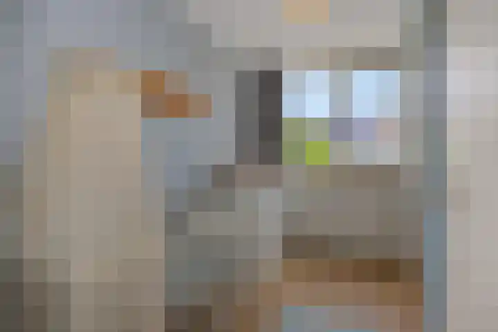Karel Boumanstraat 10 Vught thumbnail 27
