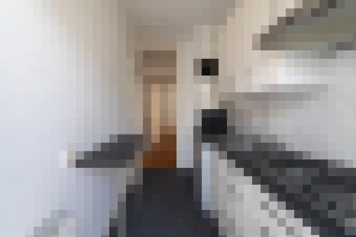 Karel de Geerstraat 40 Den Haag thumbnail 7