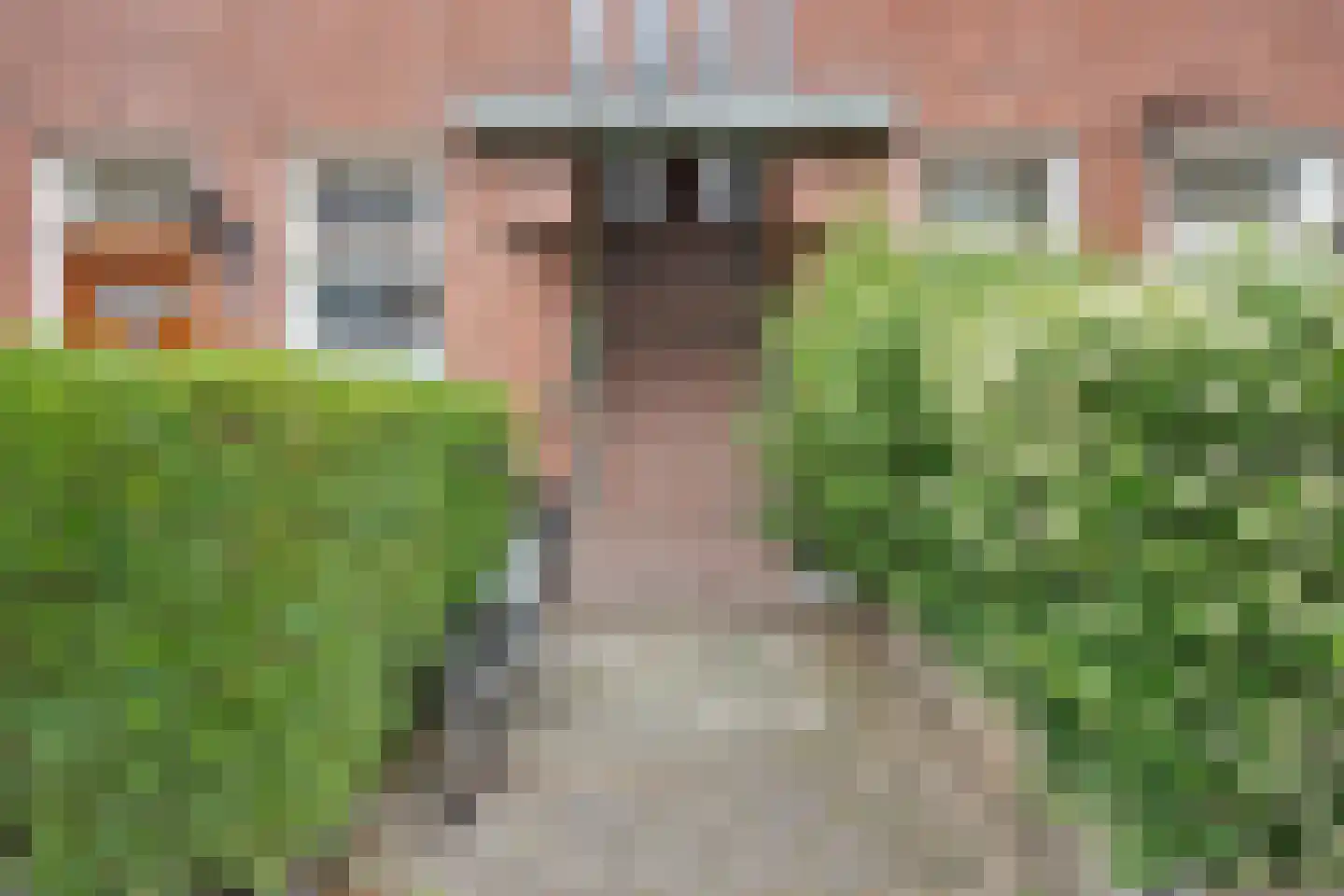 Karel de Geerstraat 48 Den Haag thumbnail 4