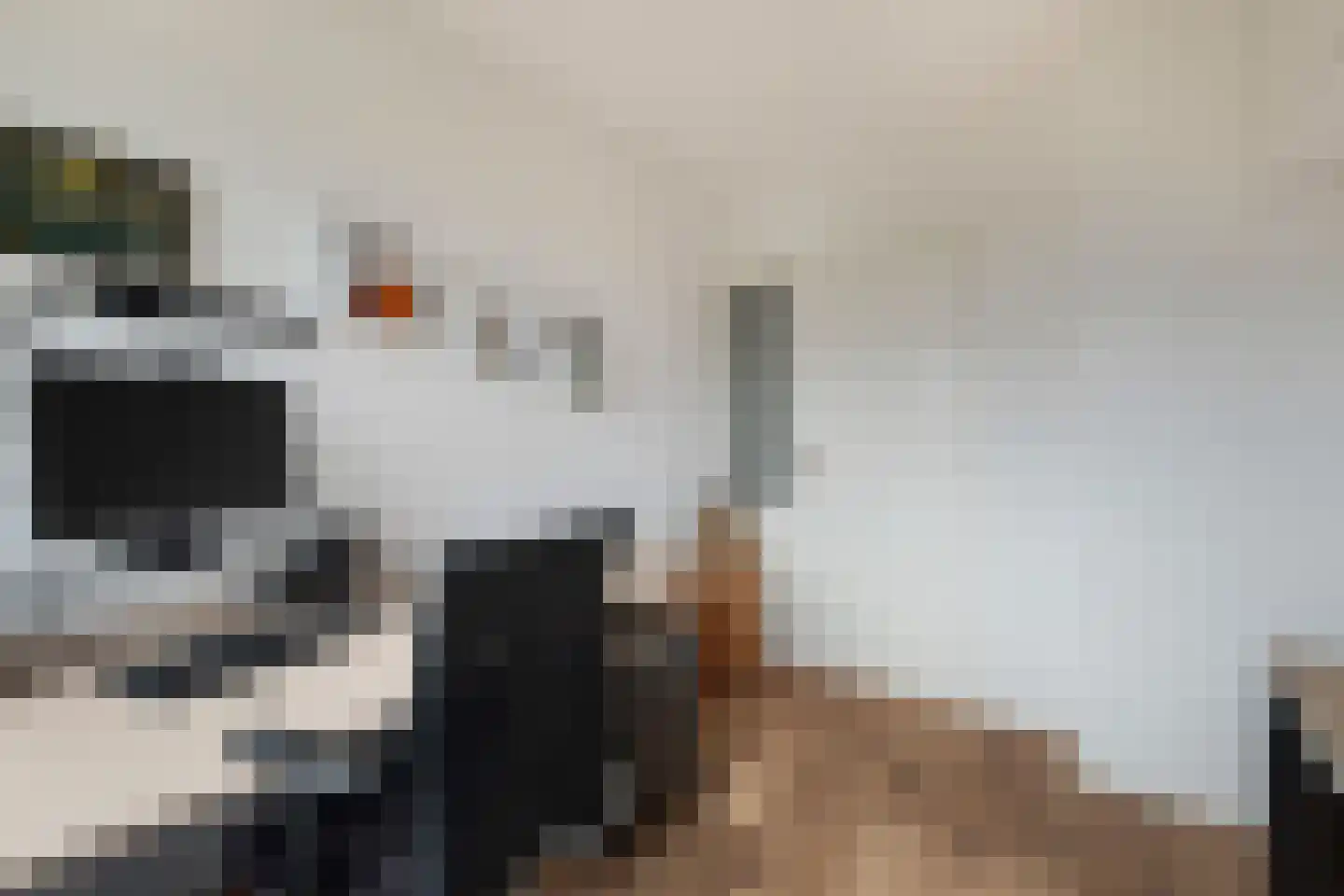 Karel de Grotelaan 108 Vlaardingen thumbnail 22