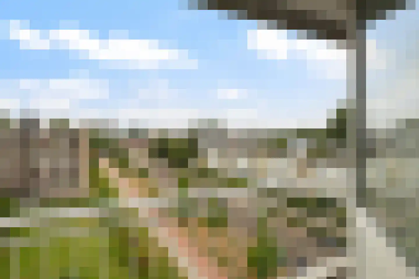 Karel de Grotelaan 108 Vlaardingen thumbnail 33