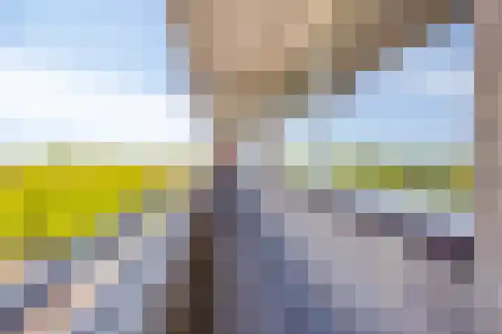 Karel de Grotelaan 126 Deventer thumbnail 14