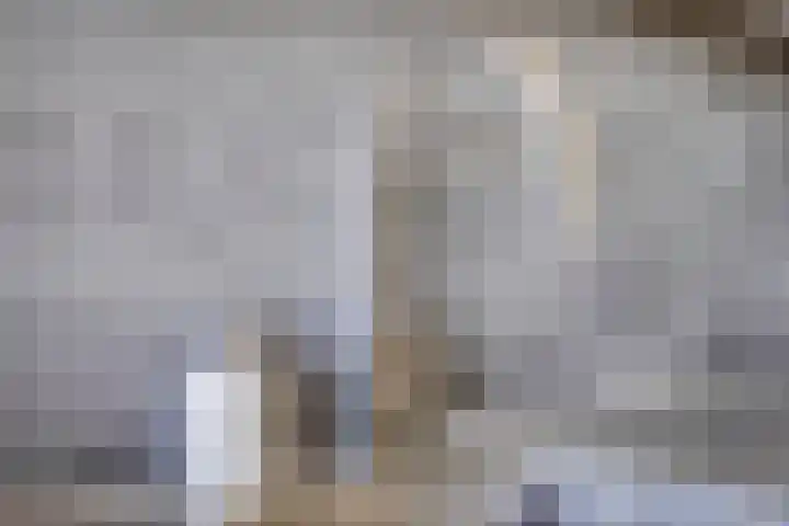 Karel de Grotelaan 126 Deventer thumbnail 29