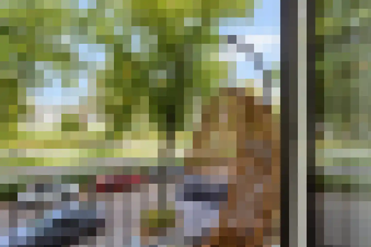 Karel de Grotelaan 127 Eindhoven thumbnail 11