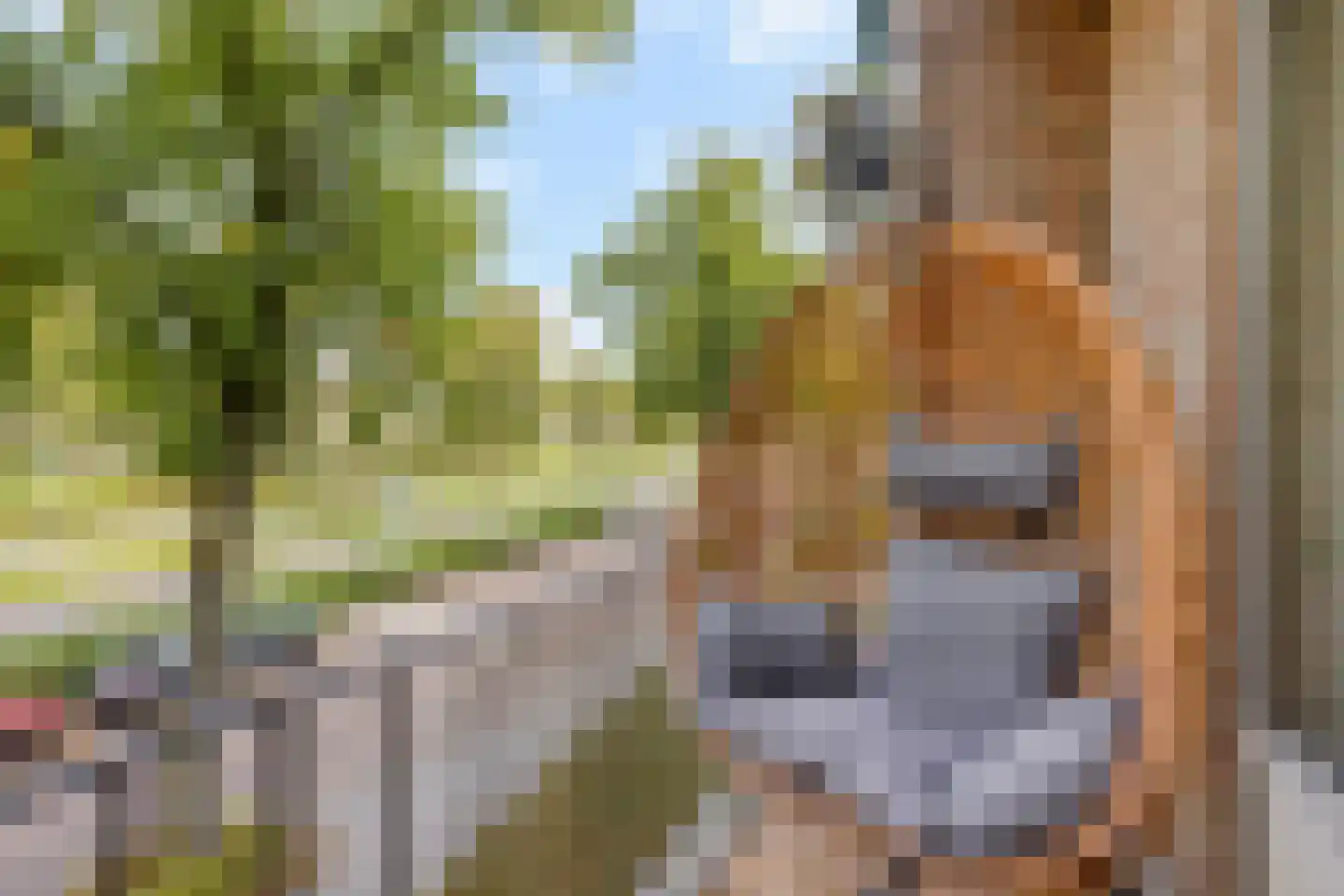 Karel de Grotelaan 127 Eindhoven thumbnail 13