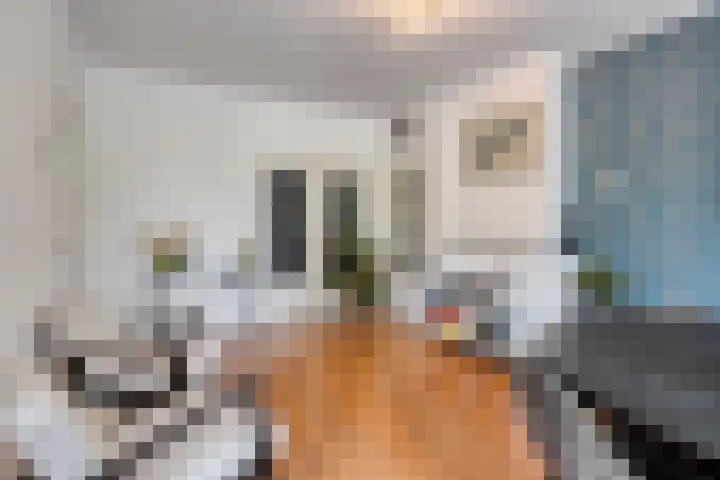 Karel de Grotelaan 127 Eindhoven thumbnail 15