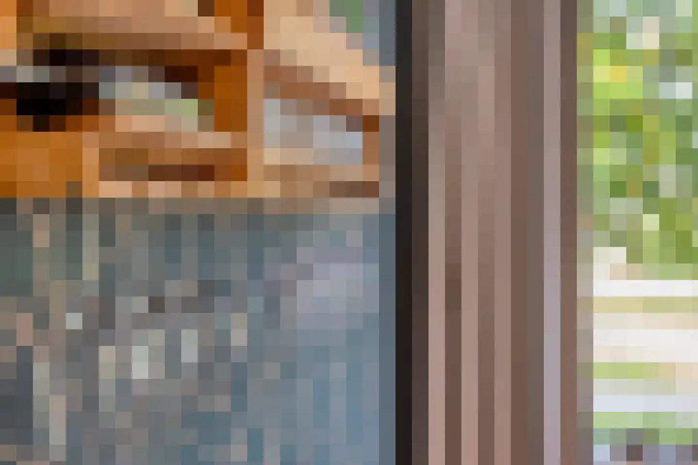 Karel de Grotelaan 127 Eindhoven thumbnail 16