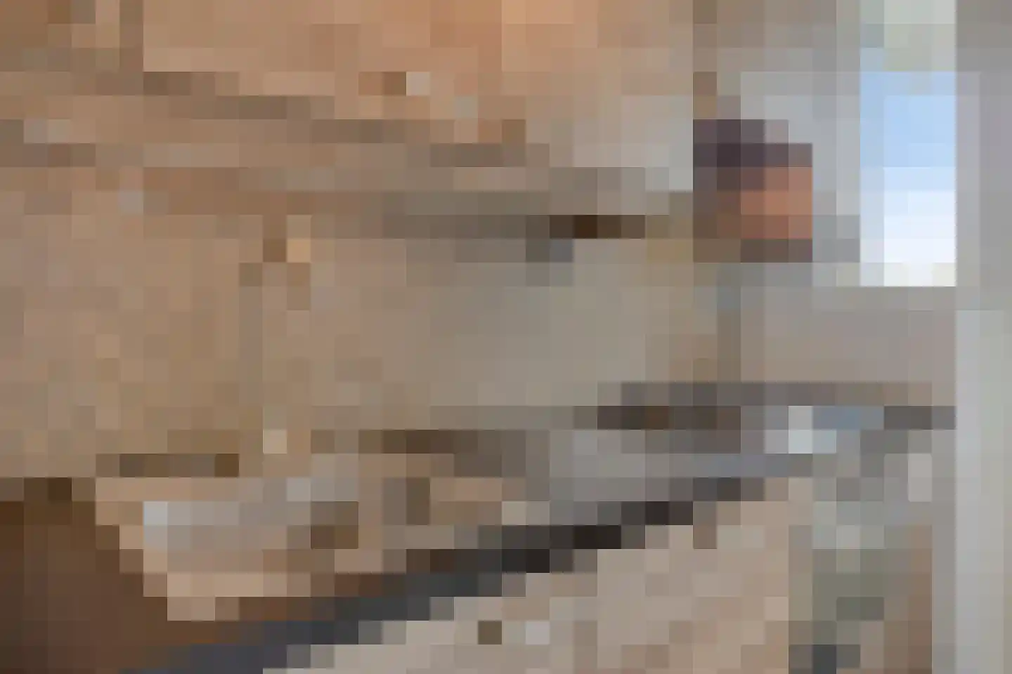 Karel de Grotelaan 127 Eindhoven thumbnail 18