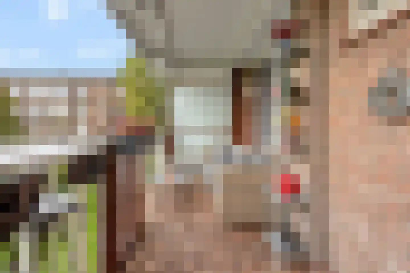 Karel de Grotelaan 127 Eindhoven thumbnail 21