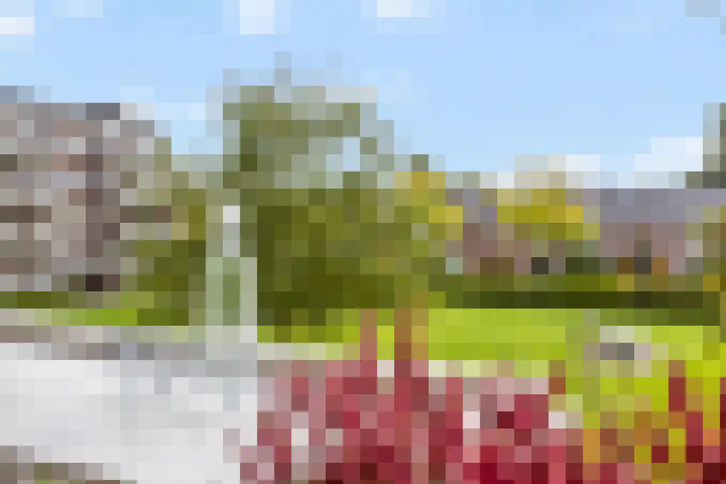 Karel de Grotelaan 127 Eindhoven thumbnail 23
