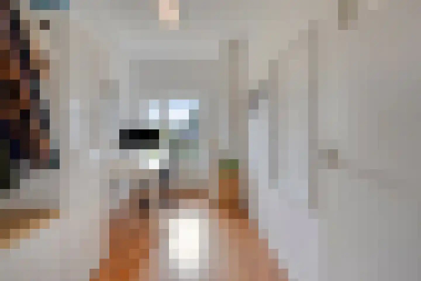 Karel de Grotelaan 127 Eindhoven thumbnail 30