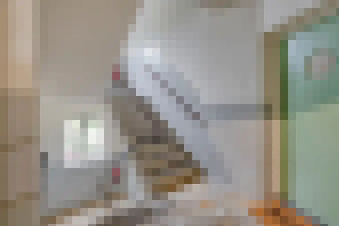 Karel de Grotelaan 127 Eindhoven thumbnail 32