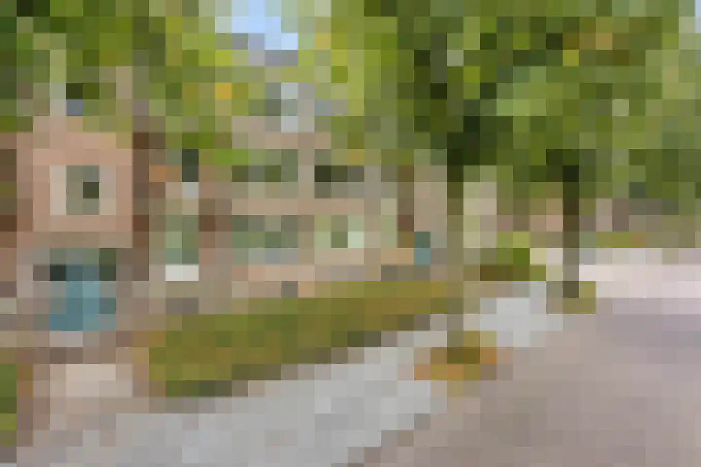 Karel de Grotelaan 127 Eindhoven thumbnail 36