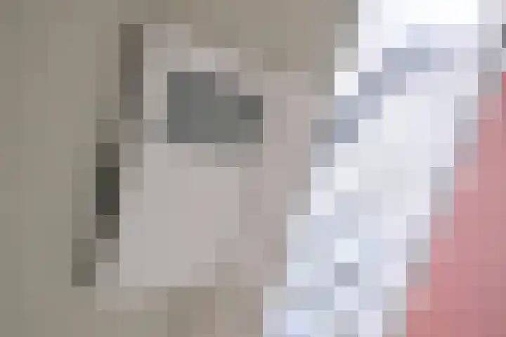 Karel de Grotelaan 132 Deventer thumbnail 10