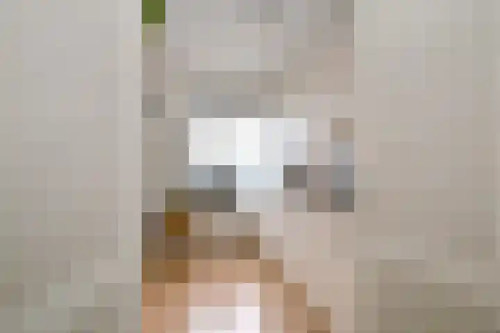 Karel de Grotelaan 132 Deventer thumbnail 13