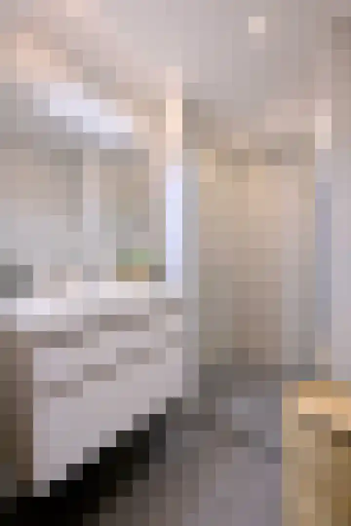 Karel de Grotelaan 132 Deventer thumbnail 17