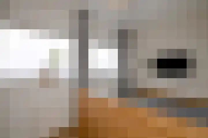 Karel de Grotelaan 132 Deventer thumbnail 18