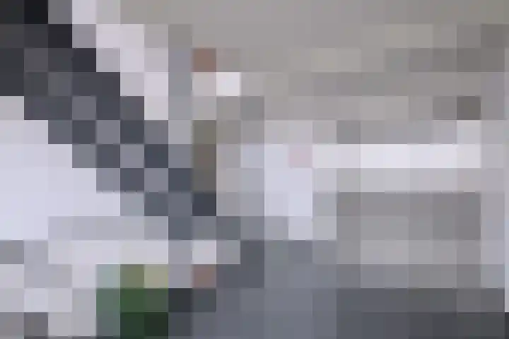 Karel de Grotelaan 132 Deventer thumbnail 8