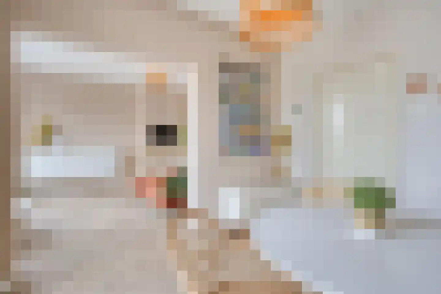 Karel de Grotelaan 133 Eindhoven thumbnail 10