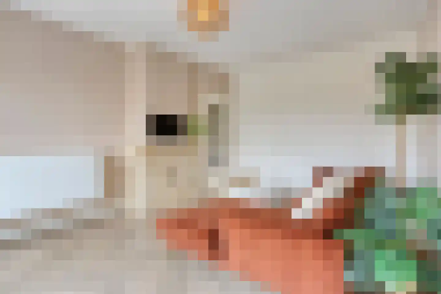 Karel de Grotelaan 133 Eindhoven thumbnail 11
