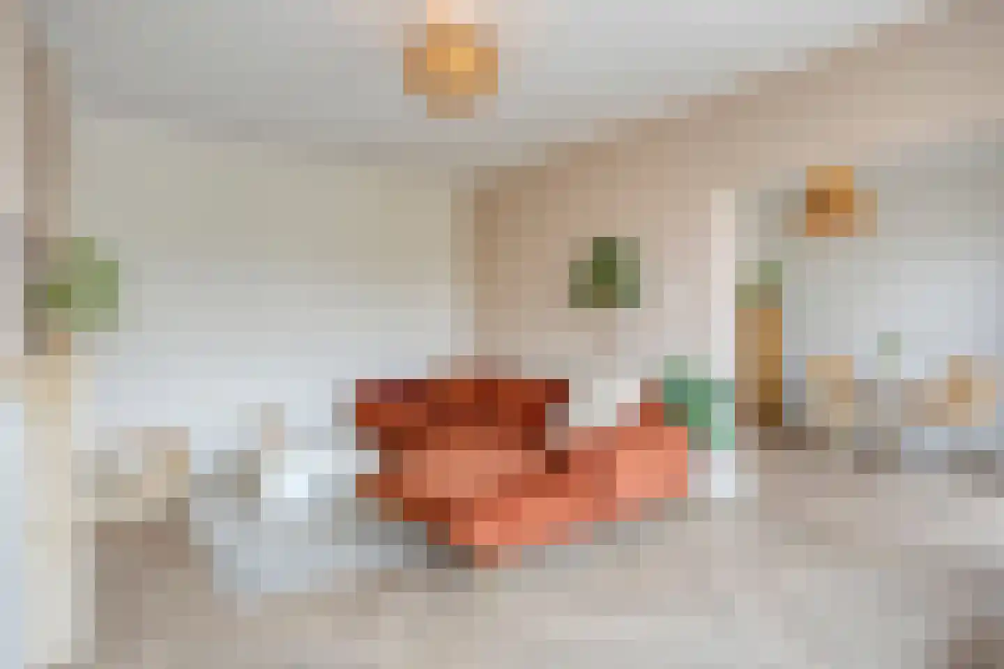 Karel de Grotelaan 133 Eindhoven thumbnail 12