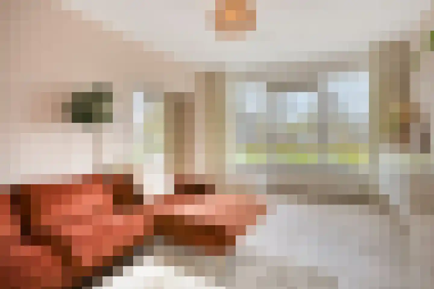 Karel de Grotelaan 133 Eindhoven thumbnail 13