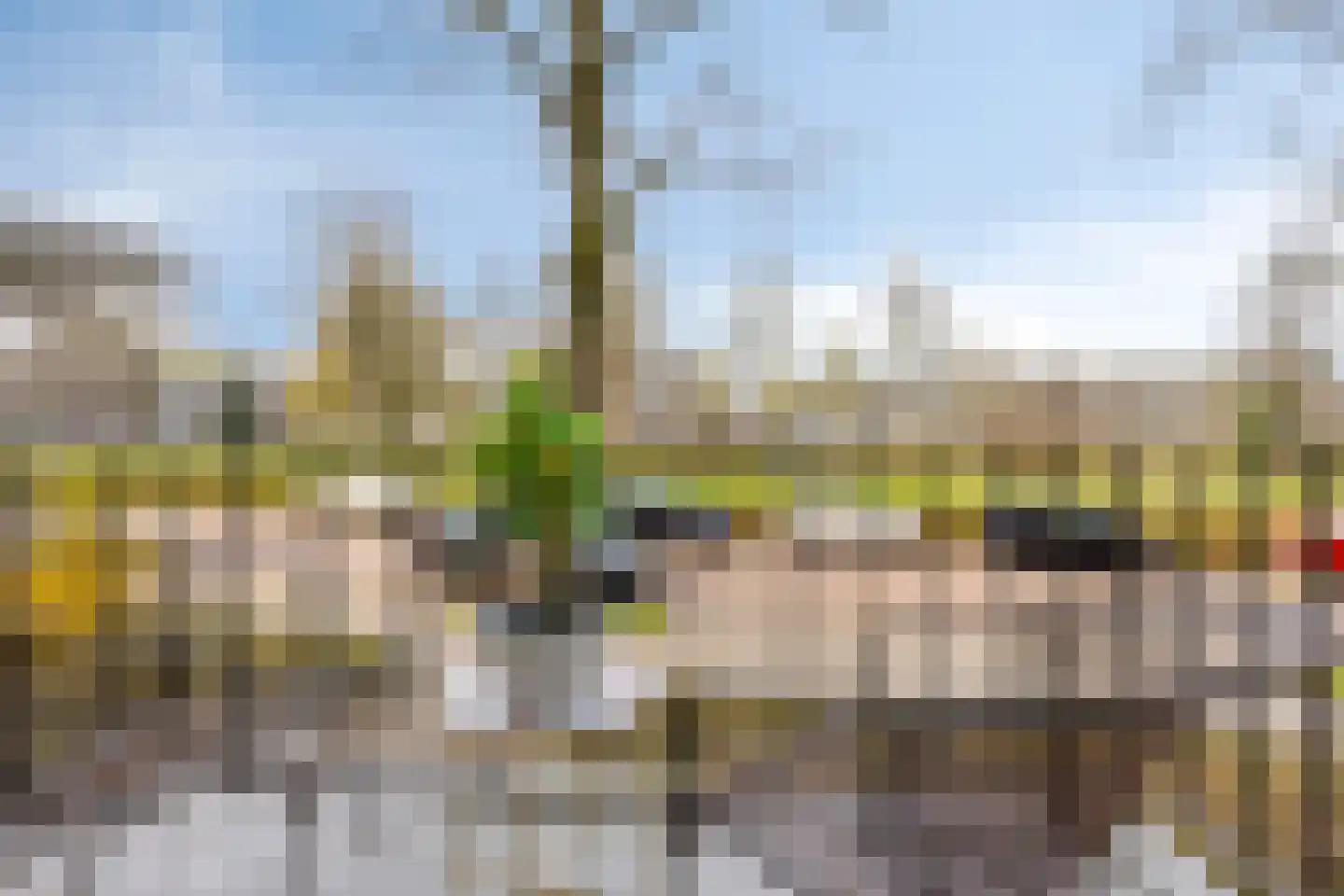 Karel de Grotelaan 133 Eindhoven thumbnail 17