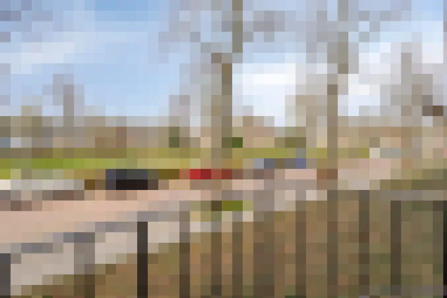 Karel de Grotelaan 133 Eindhoven thumbnail 18