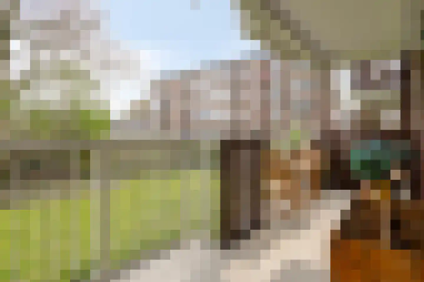 Karel de Grotelaan 133 Eindhoven thumbnail 23