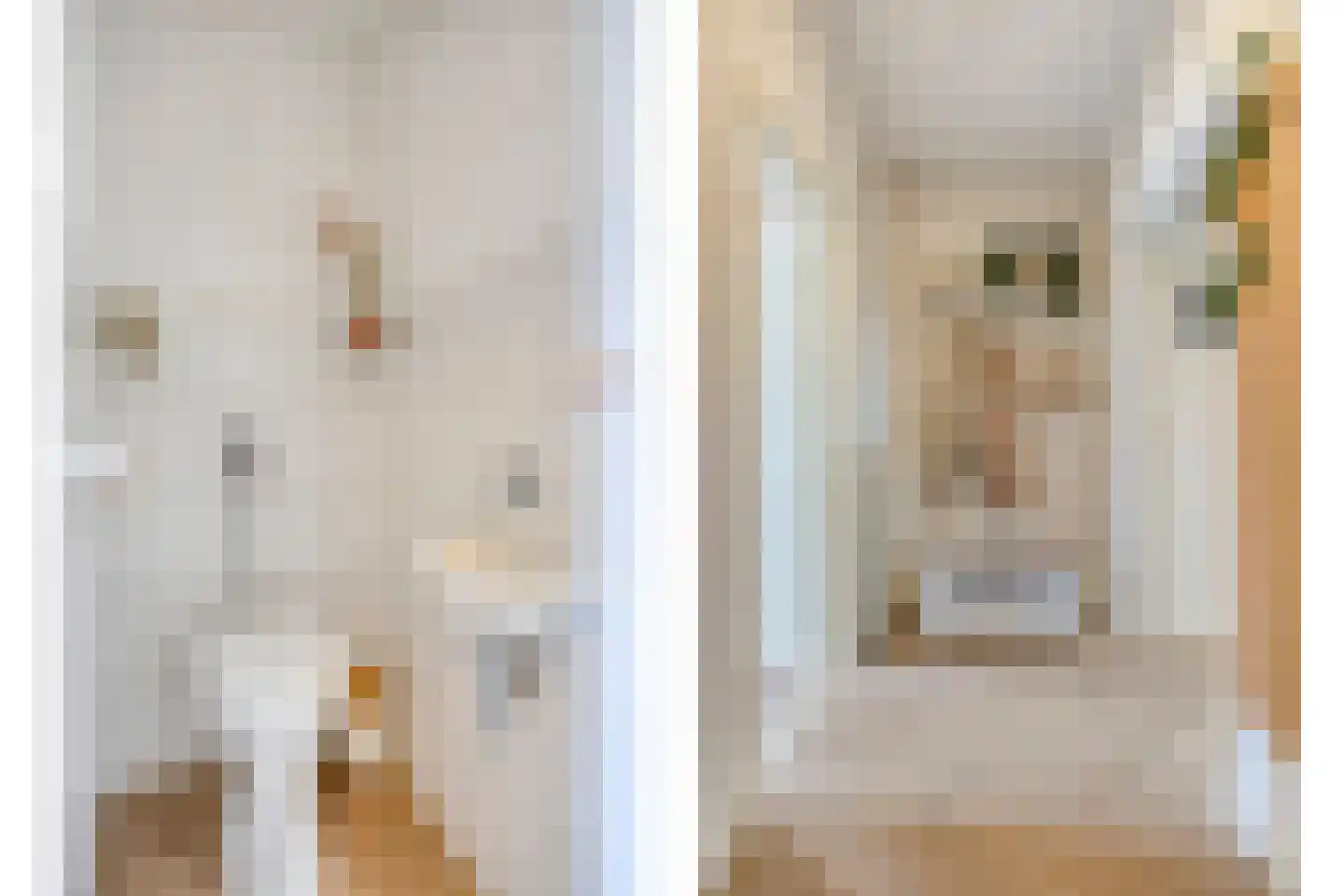 Karel de Grotelaan 133 Eindhoven thumbnail 7