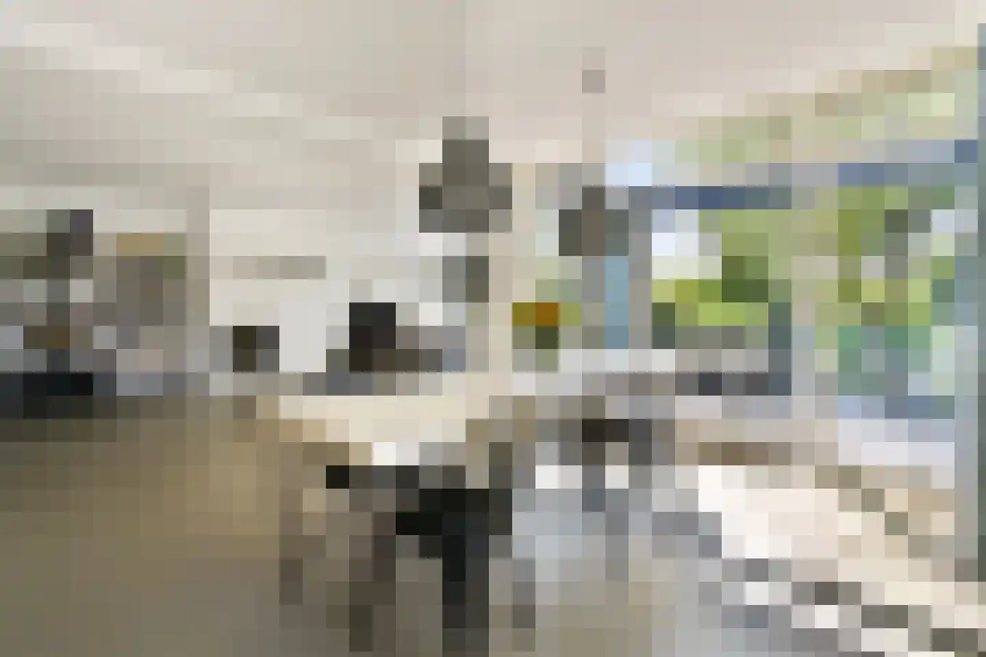 Karel de Grotelaan 135 Vlaardingen thumbnail 12