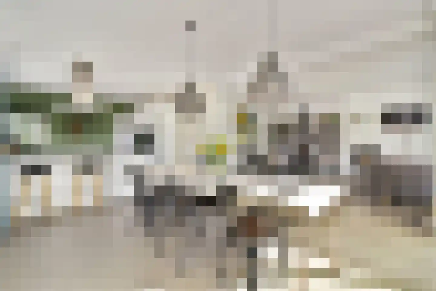 Karel de Grotelaan 135 Vlaardingen thumbnail 13