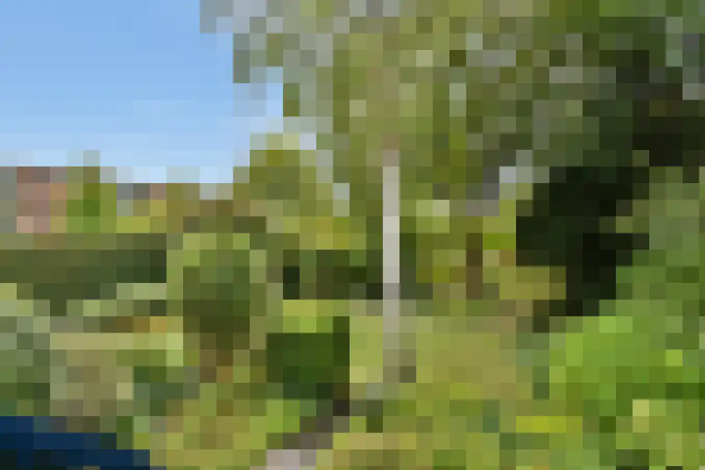 Karel de Grotelaan 135 Vlaardingen thumbnail 19
