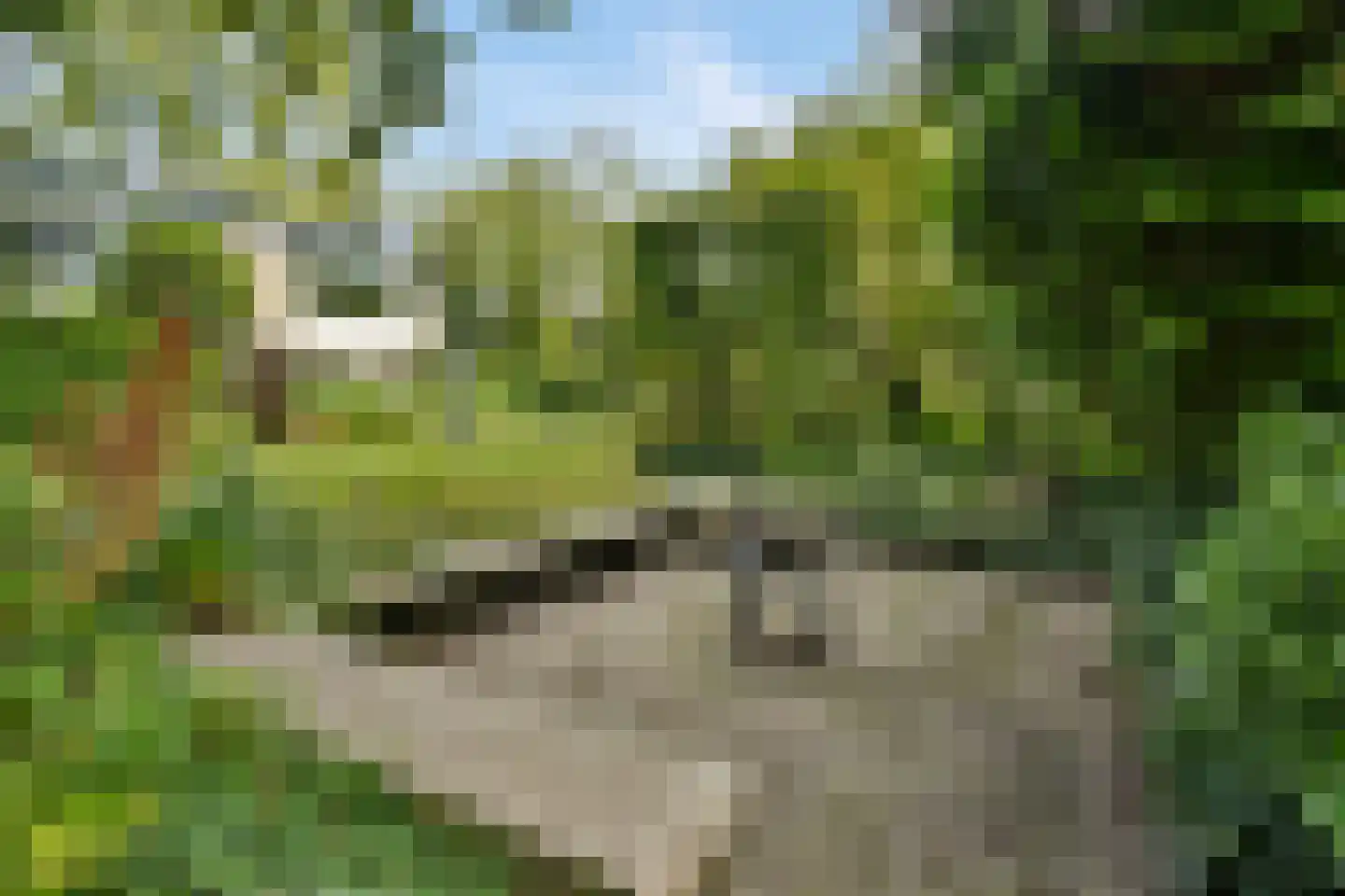 Karel de Grotelaan 135 Vlaardingen thumbnail 20