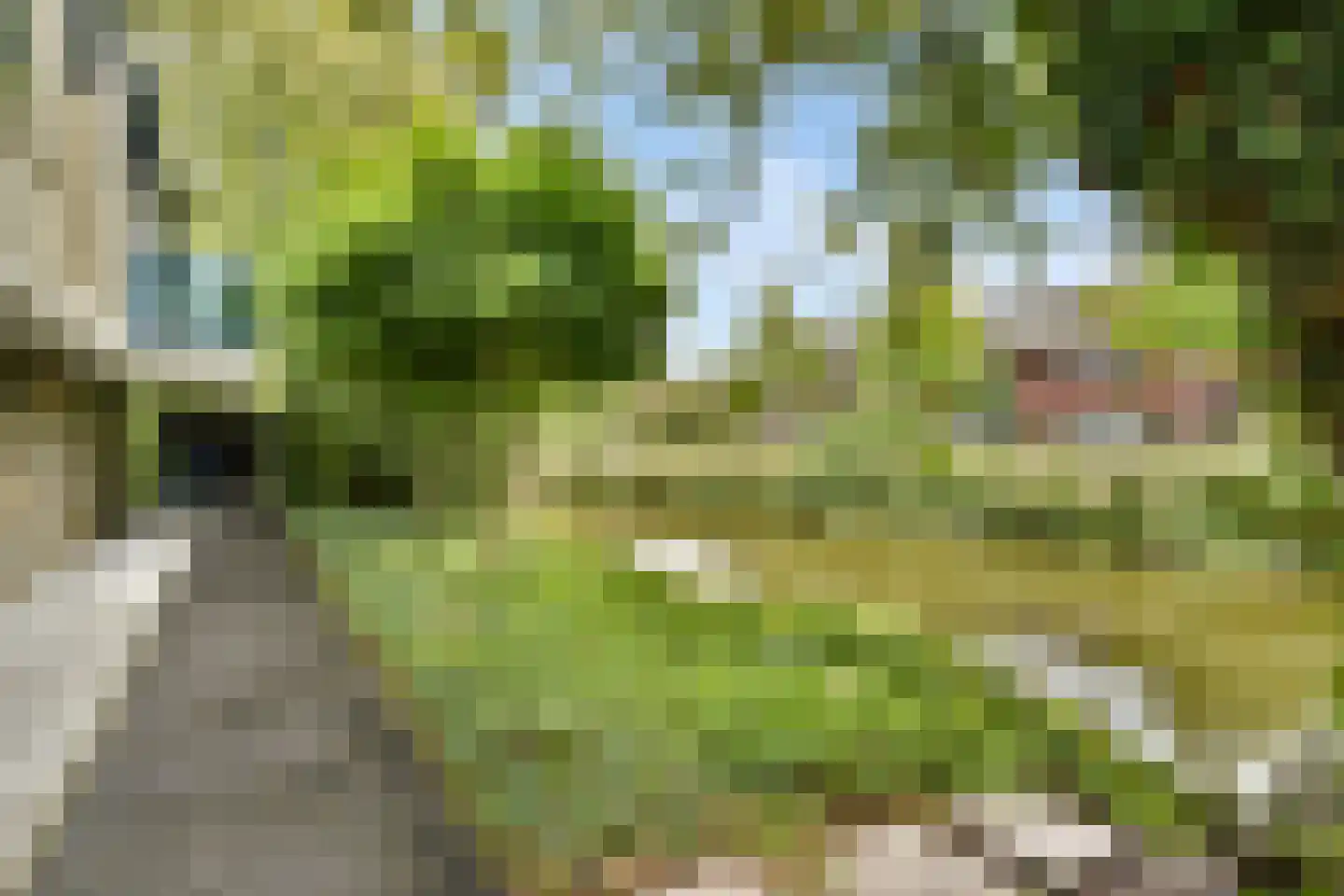 Karel de Grotelaan 135 Vlaardingen thumbnail 22